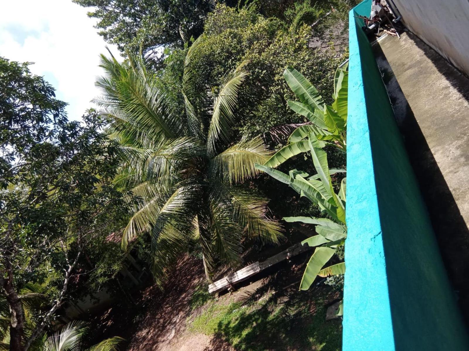 Cecilia Unawatuna Rum bild